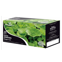 ЛОПУХА КОРЕНЬ