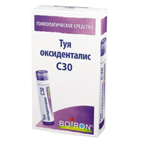 ТУЯ гран. 4г