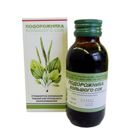 ПОДОРОЖНИКА БОЛЬШОГО СОК