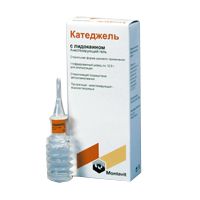 КАТЕДЖЕЛЬ С ЛИДОКАИНОМ гель (шприц) 12.5г 1 шт.